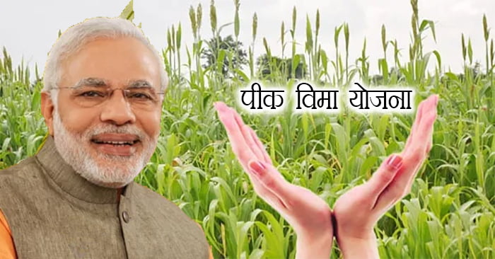Pradhan Mantri Peek Vima Yojana